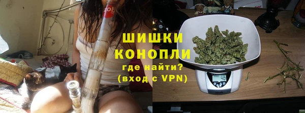 прущий лед Бородино