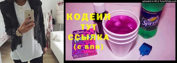 прущий лед Бородино