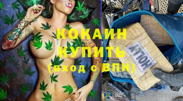 прущий лед Бородино