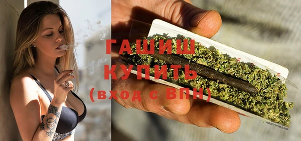 прущий лед Бородино