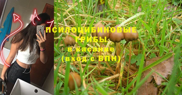 прущий лед Бородино