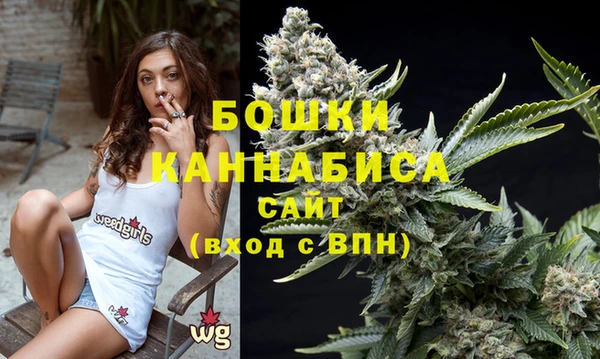 прущий лед Бородино
