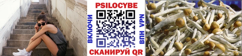 Купить  Фатеж  Галлюциногенные грибы MAGIC MUSHROOMS 